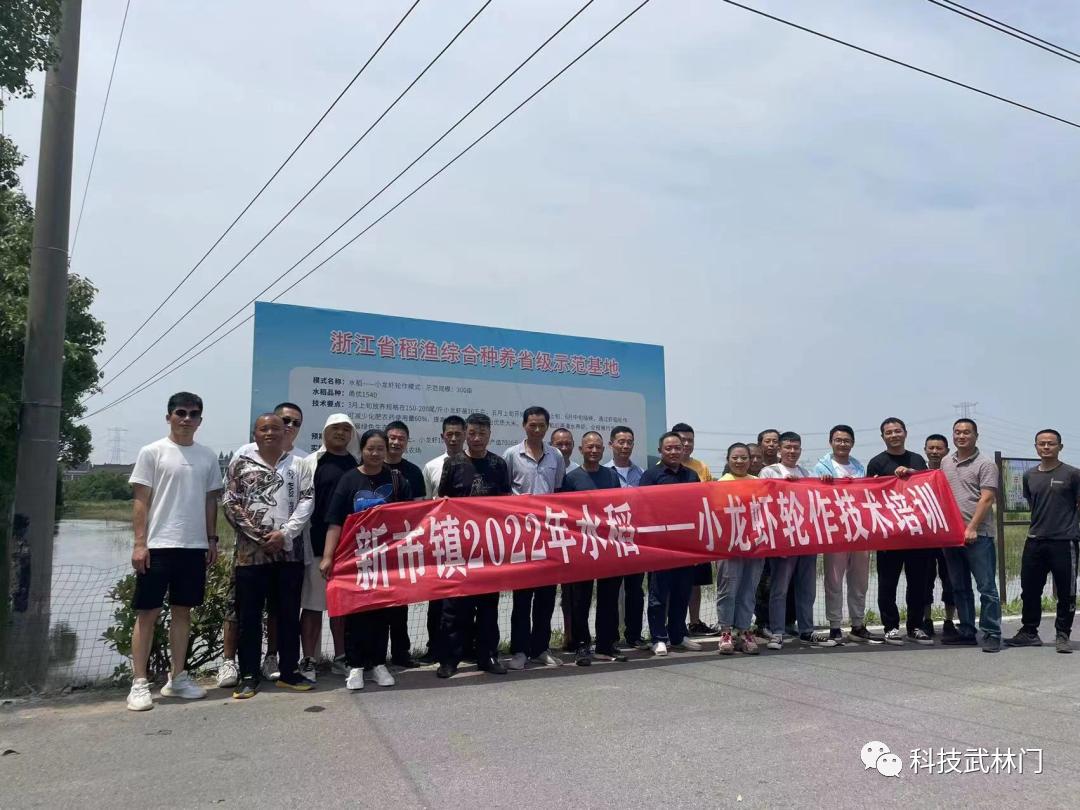 德清人才网最新招聘，职场黄金机会等你来探秘！