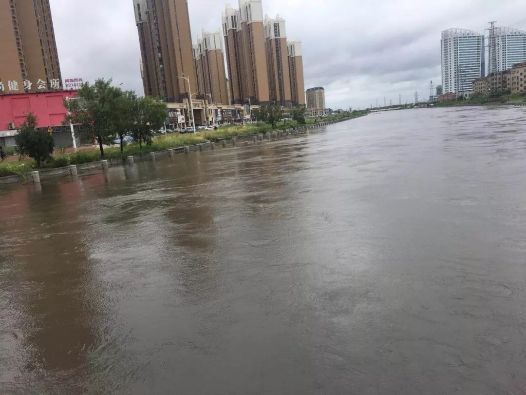 东营之旅，与自然美景的邂逅，探寻内心的平和与宁静