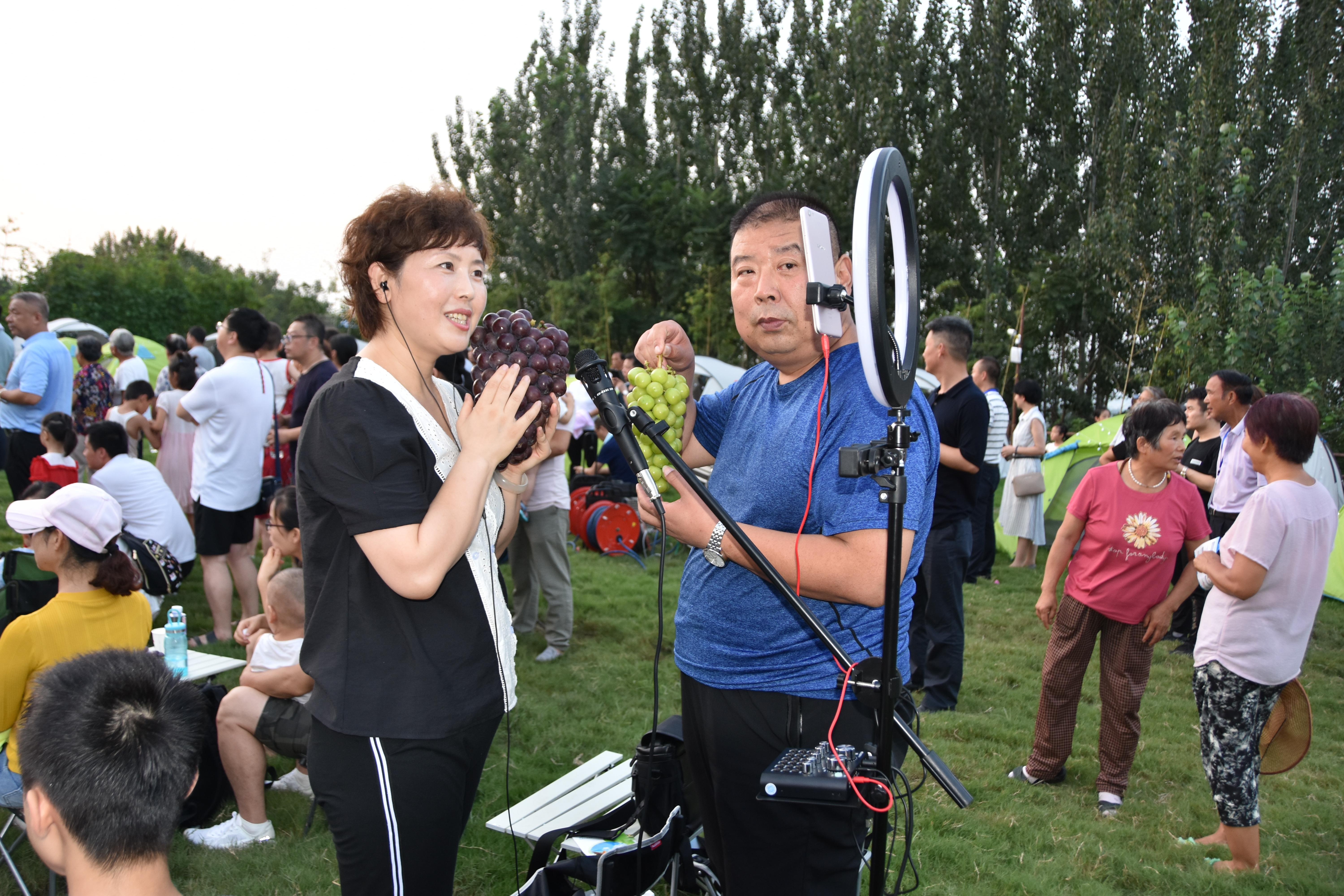 鄠邑区最新规划详解与观点论述