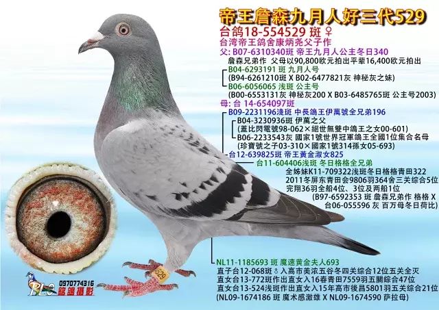 梦铃公棚引领科技潮流，开启智能生活新篇章的最新公告
