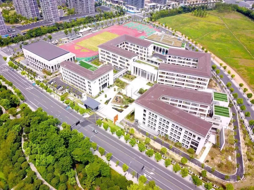 台州文渊小学最新动态更新🎉🏫